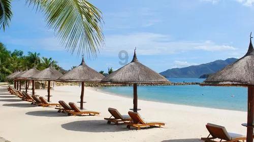 海之号角神秘海怪